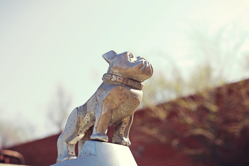The Abandoned Cars Of Chillicothe, Texas