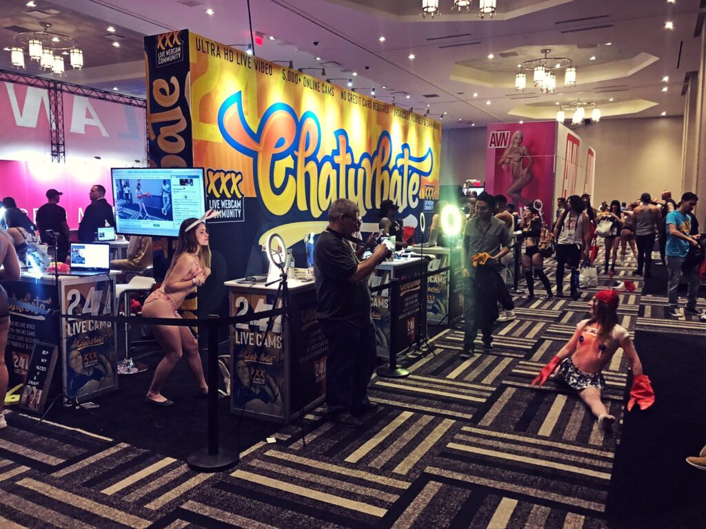 An Outsider Visits The AVN Expo