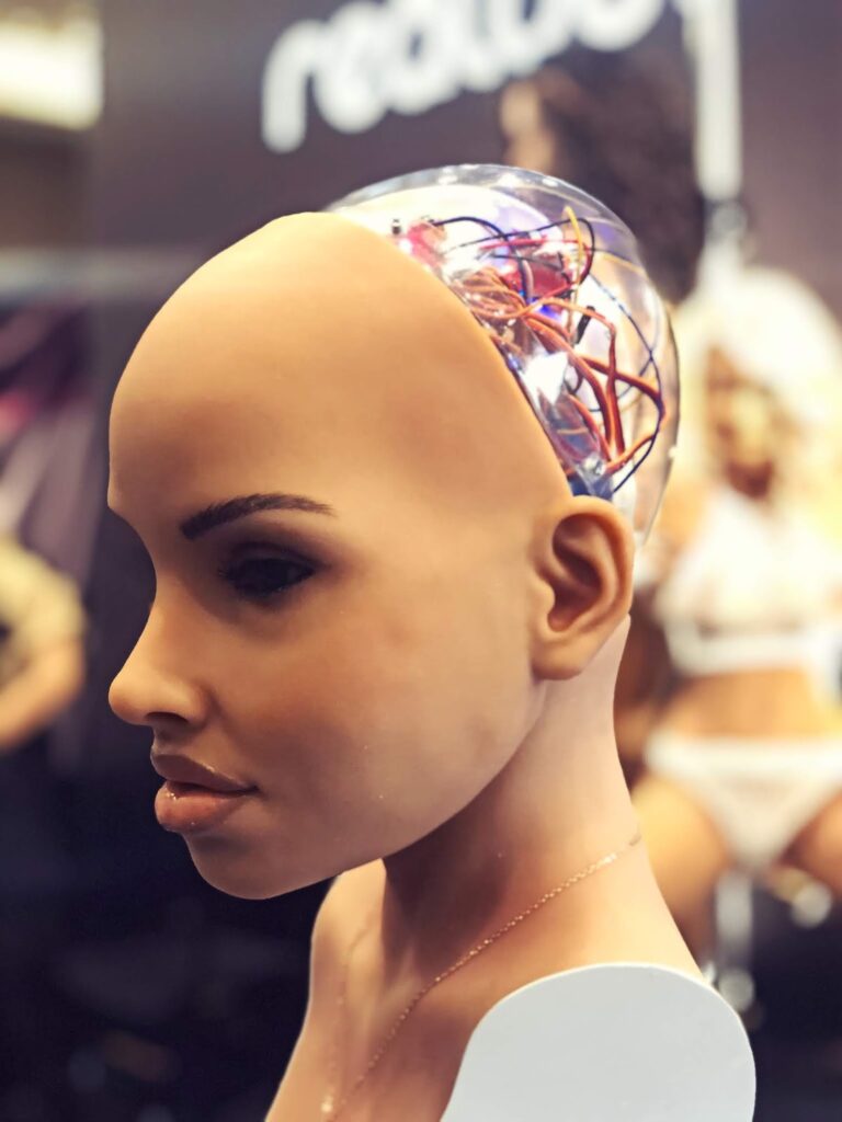 An Outsider Visits The AVN Expo