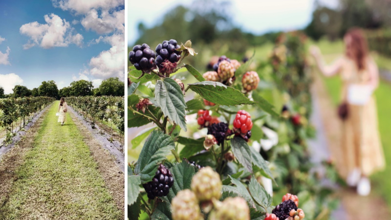 East Texas In The BMW M5 Competition
