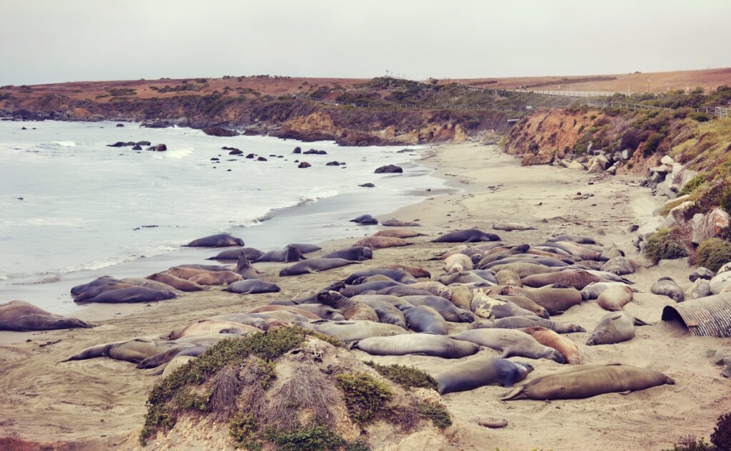 The Ultimate Pacific Coast Highway Road Trip In A Mazda MX-5 RF