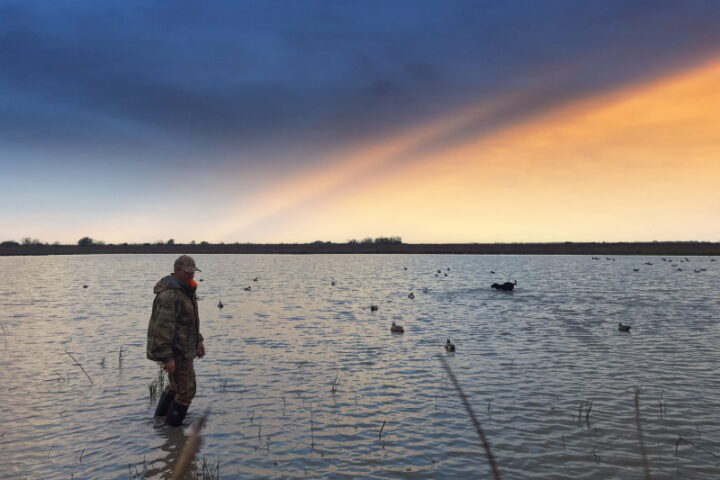 My First Gulf Coast Duck Hunt