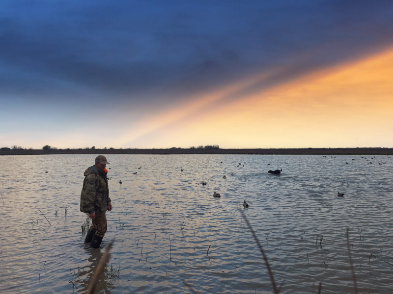 My First Gulf Coast Duck Hunt