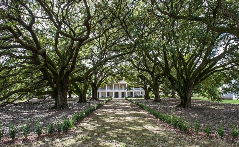Louisiana Road Trip