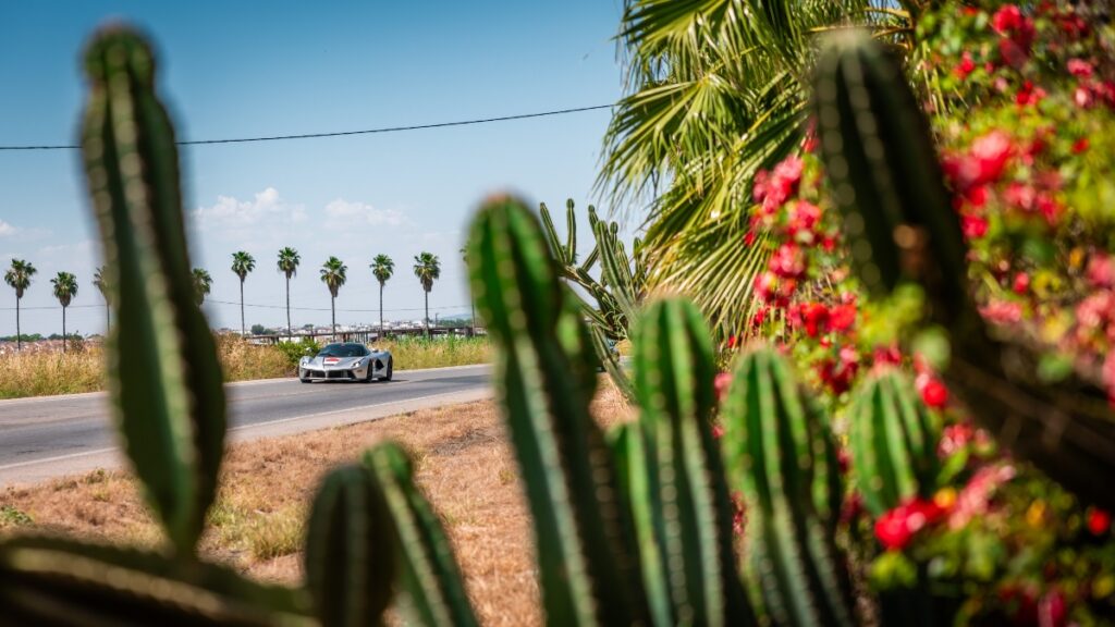 Ferrari Cavalcade 2025: A Grand Tour Through the Heart of Andalusia