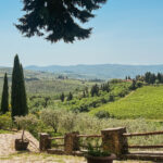 A Tuscan Road Trip in a MINI Countryman