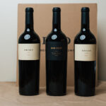 BRION Wines Review: Exploring the Exceptional 2023 Cabernet Sauvignon Collection